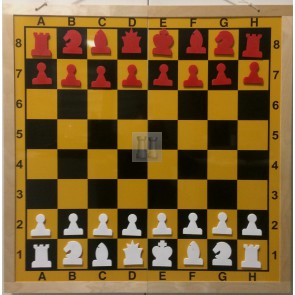 scacchiera-murale-per-scuole-demo-board